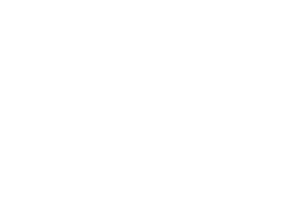 Flydays